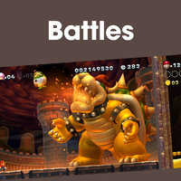 NM NSMBUD Battles PL.png