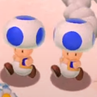SM3DW Screenshot Double Toad.png