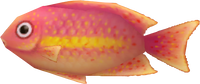 SMG Asset Model Fish (Red).png