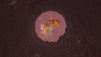 DKB cutscene0.png