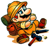 Mario P2.png