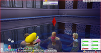 Shroom SIMulation6-SwimmingPool5.png