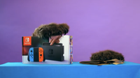 TPNS Beary.png