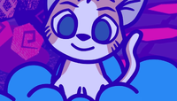 Cat Close-Up.png