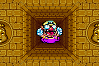 WL4-WarioFalling.png