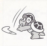 Boomerang Bro Perfect.png
