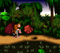 DKC second character glitch.png