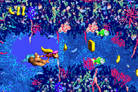 Ripcurl Reef GBA Letter K.png