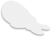 Colorless Toad.png