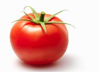 Tomato.jpg