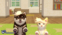 WWMI nintendogs + cats.png
