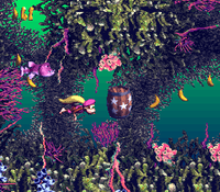 FishFoodFrenzy-SNES-Checkpoint.png