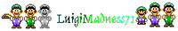LuigiMadness71.PNG