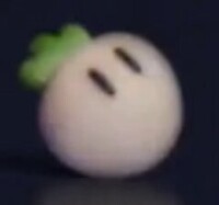 TurnipTSMBM.jpg
