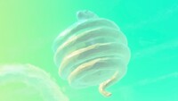 DKB Inactive Synthetic Sun.jpg