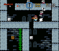MortonsCastle3rdSection.png