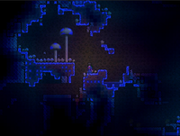 SDN Shrooms.png