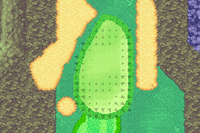 MGAT Mushroom Course Green 4.png