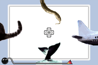 NM WWIMM Quickie Quiz.png