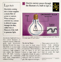 Light bulb quiz card back.png