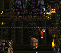 ChainLinkChamber-O.png