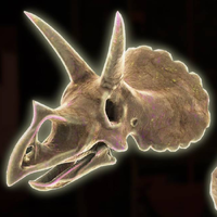 DKB Fossil Triceratops.png