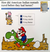 Indian nomads quiz card.png