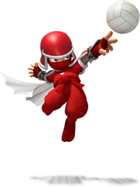 Ninjasportsmix.png