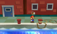 Surfshine back.png