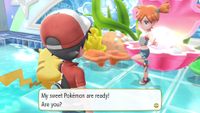 137PokemonC.jpg