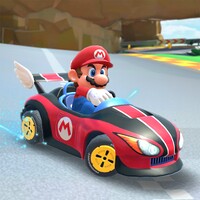MKT Mario Wild Wing.jpg