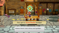PMTTYD NS completion Gold Medal.png