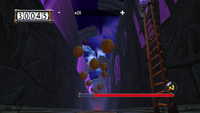 ZelRayman200-43.png