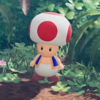 MTF Adventure Toad.png
