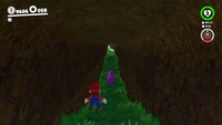 Mushroom Kingdom Coins S.jpg