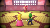 NM SM3DW+BF Pom Poms Theme.png