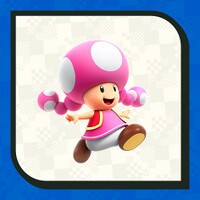 PN SMBW Character Poll opt11.jpg