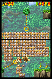 Early1 DKJC.PNG