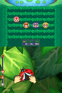 HedgeHoncho.png