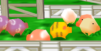 Lil Oinks.png