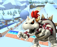 MKT Icon DKPassRDS DryBowser.png