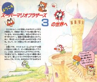 Plot SMB3 guide 5.jpg