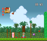 BS Mario USA.png