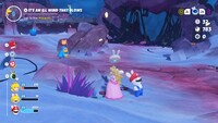 MRSOH magikoopa roaming 2.jpg
