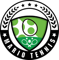 MTA Logos Yoshi.png