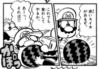 WatermelonSuperMarioKun.png