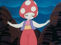 Toad1 2.jpg