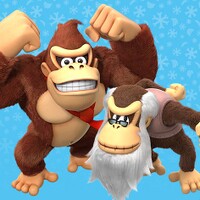 DKCTF Switch Co-Op Poll 3.jpg