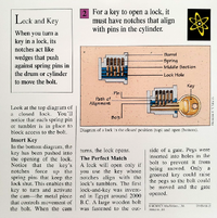 Key quiz card back.png
