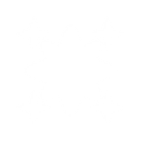 PPS Ensemble Super Radiant Icon.png